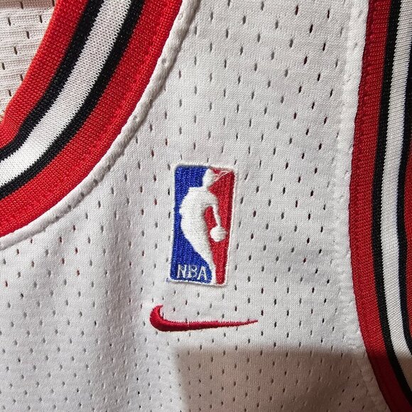 Michael Jordan #23 1984 Nike Team Sports Flight 8403 Chicago  Bulls NBA Jersey L - Picture 4 of 12